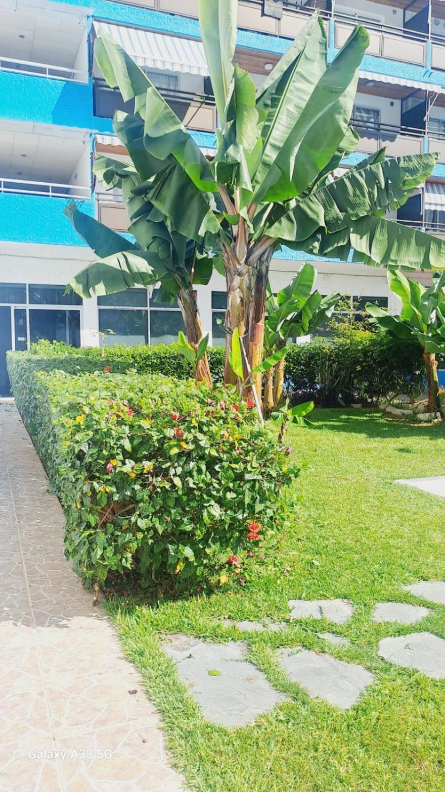 Estudio Playa Jardin بويرتو ذي لا كروز المظهر الخارجي الصورة